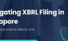 新加坡公司财务报告中的XBRL：全面解析与应用指南